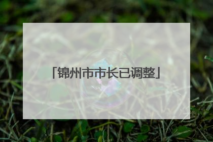 锦州市市长已调整