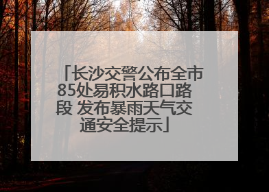 长沙交警公布全市85处易积水路口路段 发布暴雨天气交通安全提示