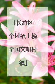 长清区三个村镇上榜全国文明村镇