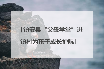 镇安县“父母学堂”进镇村为孩子成长护航