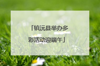 镇沅县举办多彩活动迎端午