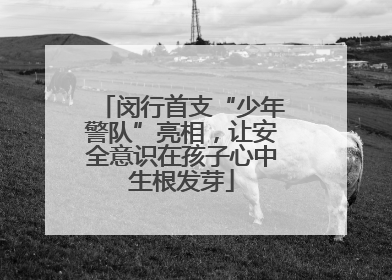 闵行首支“少年警队”亮相，让安全意识在孩子心中生根发芽