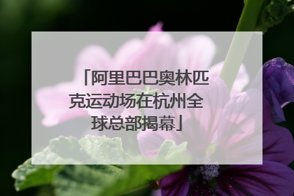 阿里巴巴奥林匹克运动场在杭州全球总部揭幕