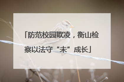 防范校园欺凌，衡山检察以法守“未”成长