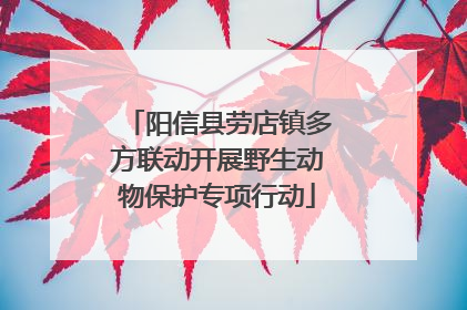 阳信县劳店镇多方联动开展野生动物保护专项行动