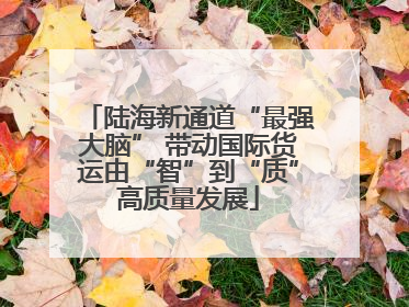 陆海新通道“最强大脑” 带动国际货运由“智”到“质”高质量发展