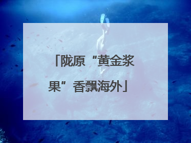 陇原“黄金浆果”香飘海外