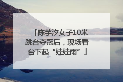 陈芋汐女子10米跳台夺冠后，现场看台下起“娃娃雨”
