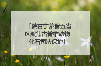 陕甘宁蒙晋五省区聚焦古脊椎动物化石司法保护