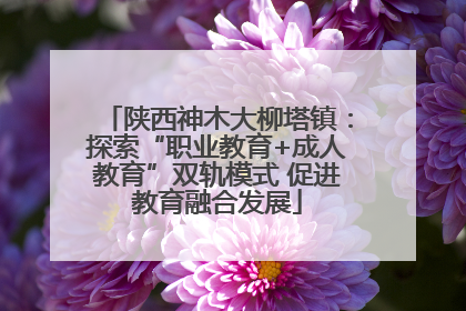 陕西神木大柳塔镇：探索“职业教育+成人教育”双轨模式 促进教育融合发展