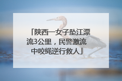 陕西一女子坠江漂流3公里，民警激流中咬绳逆行救人