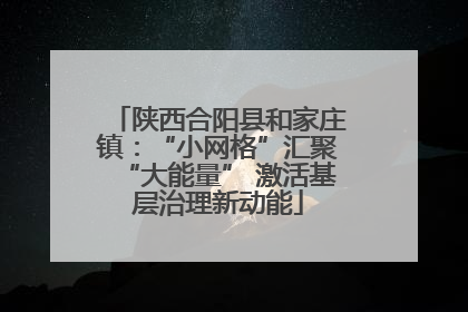 陕西合阳县和家庄镇：“小网格”汇聚“大能量” 激活基层治理新动能