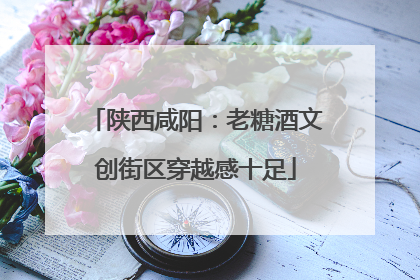 陕西咸阳：老糖酒文创街区穿越感十足