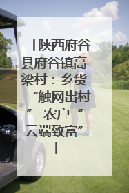 陕西府谷县府谷镇高梁村：乡货“触网出村” 农户“云端致富”