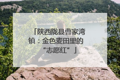 陕西陇县曹家湾镇：金色麦田里的“志愿红”