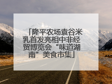 隆平农场袁谷米乳首发亮相中非经贸博览会“味道湖南”美食市集