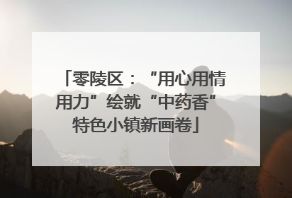 零陵区：“用心用情用力”绘就“中药香”特色小镇新画卷