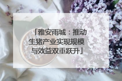 雅安雨城：推动生猪产业实现规模与效益双重跃升