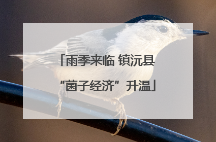 雨季来临 镇沅县“菌子经济”升温