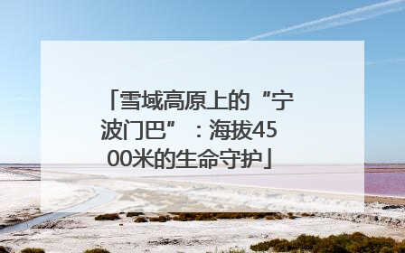 雪域高原上的“宁波门巴”：海拔4500米的生命守护