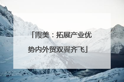 霞美：拓展产业优势内外贸双翼齐飞