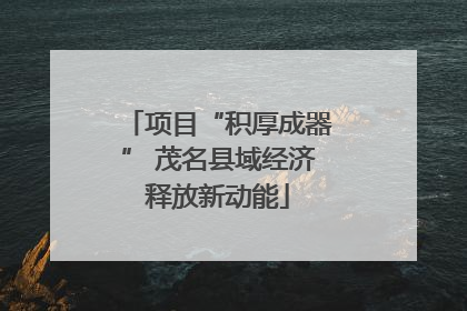 项目“积厚成器” 茂名县域经济释放新动能