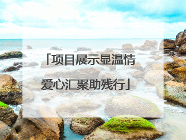 项目展示显温情 爱心汇聚助残行