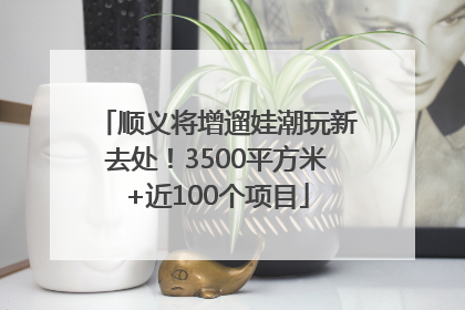 顺义将增遛娃潮玩新去处！3500平方米+近100个项目