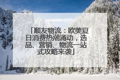 顺友物流：欧美夏日消费热潮涌动，选品、营销、物流一站式攻略来袭