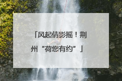 风起倩影摇！荆州“荷您有约”