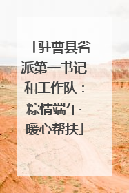 驻曹县省派第一书记和工作队：粽情端午·暖心帮扶