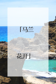 马兰花开