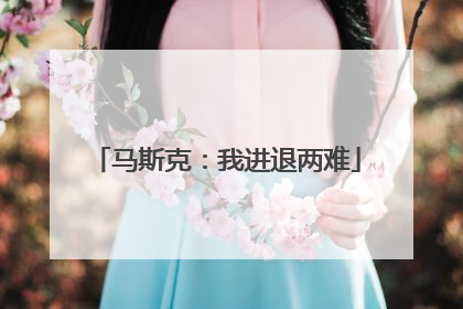 马斯克：我进退两难