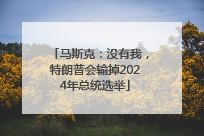马斯克：没有我，特朗普会输掉2024年总统选举