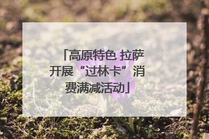 高原特色 拉萨开展“过林卡”消费满减活动