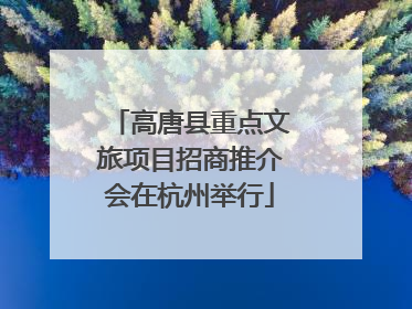 高唐县重点文旅项目招商推介会在杭州举行