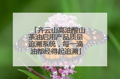 齐云山高油酸山茶油启用产品质量追溯系统，每一滴油都经得起追溯