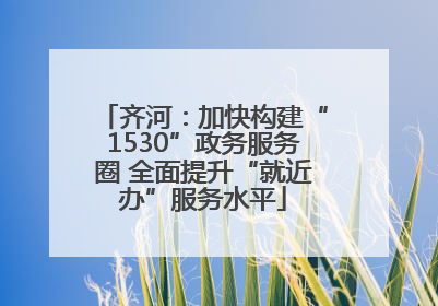 齐河：加快构建“1530”政务服务圈 全面提升“就近办”服务水平