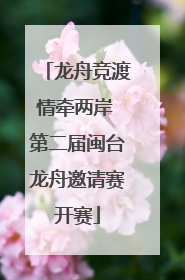 龙舟竞渡情牵两岸 第二届闽台龙舟邀请赛开赛