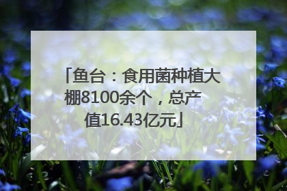 鱼台：食用菌种植大棚8100余个，总产值16.43亿元