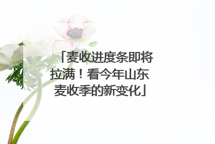 麦收进度条即将拉满！看今年山东麦收季的新变化