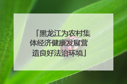 黑龙江为农村集体经济健康发展营造良好法治环境