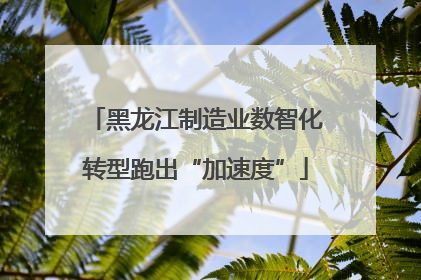 黑龙江制造业数智化转型跑出“加速度”
