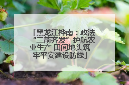 黑龙江桦南：政法“三箭齐发”护航农业生产 田间地头筑牢平安建设防线
