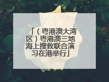 （粤港澳大湾区）粤港澳三地海上搜救联合演习在港举行