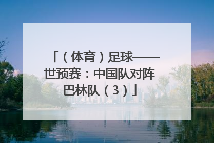 （体育）足球——世预赛：中国队对阵巴林队（3）