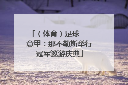 （体育）足球——意甲：那不勒斯举行冠军巡游庆典