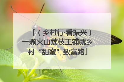 （乡村行·看振兴）一颗火山荔枝王铺就乡村“甜蜜”致富路
