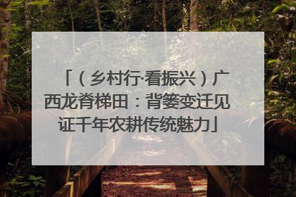 （乡村行·看振兴）广西龙脊梯田：背篓变迁见证千年农耕传统魅力