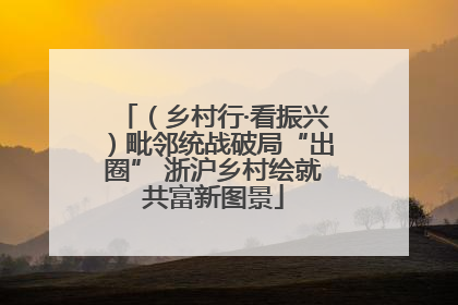 （乡村行·看振兴）毗邻统战破局“出圈” 浙沪乡村绘就共富新图景